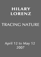 Hilary Lorenz / Tracing Nature