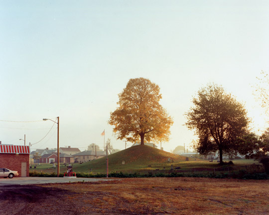 Neg1558