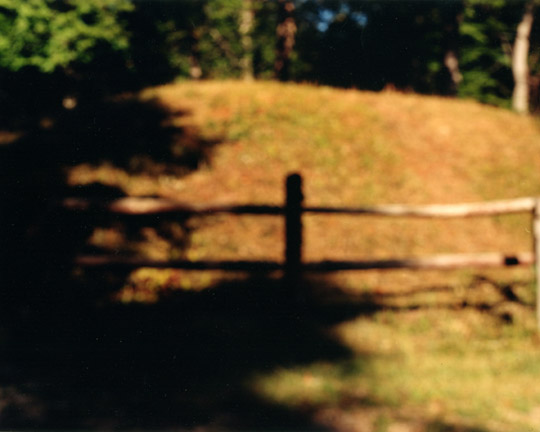 Neg1974
