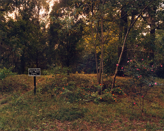 Magnolia Plantation Mound